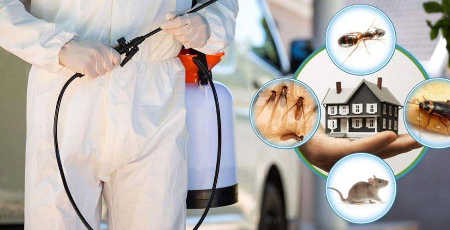 Altınyayla Böcek İlaçlama