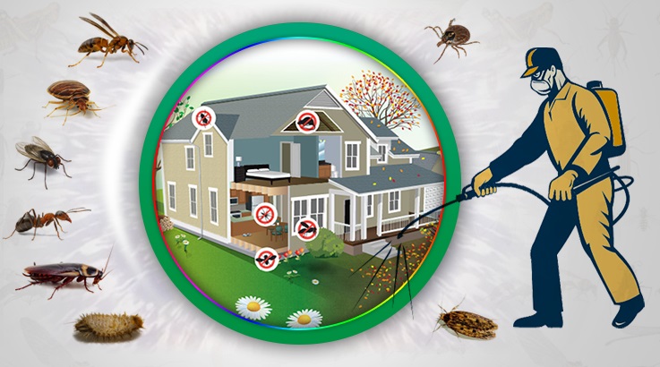 Altınyayla Böcek İlaçlama