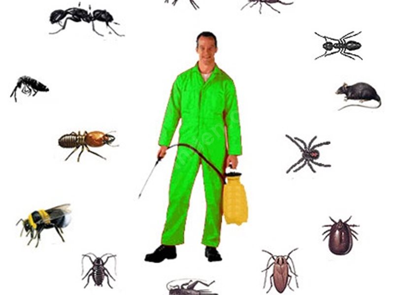 Altınyayla Böcek İlaçlama